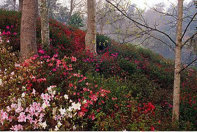 轻肉鸽卡牌RPG《横跨方尖碑》正式版 新添中文支持